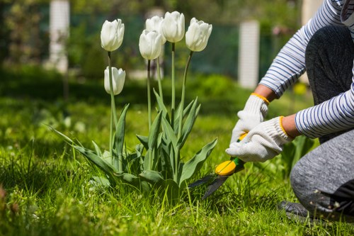 Technician trimming a hedge in Cranford with safety gear