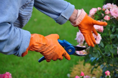Team conducting hedge maintenance in Cranford, illustrating commitment to ethical labour practices