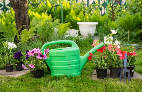 Customized hedge shaping services in Cranford